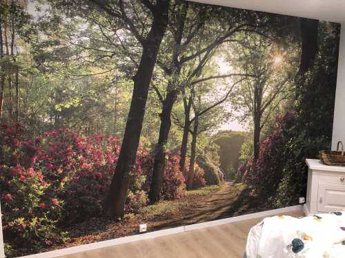 Zonsopkomst bij pad met rhododendrons