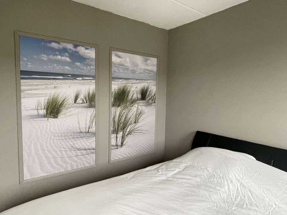 Strand met duinplanten