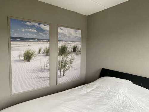 Strand met duinplanten