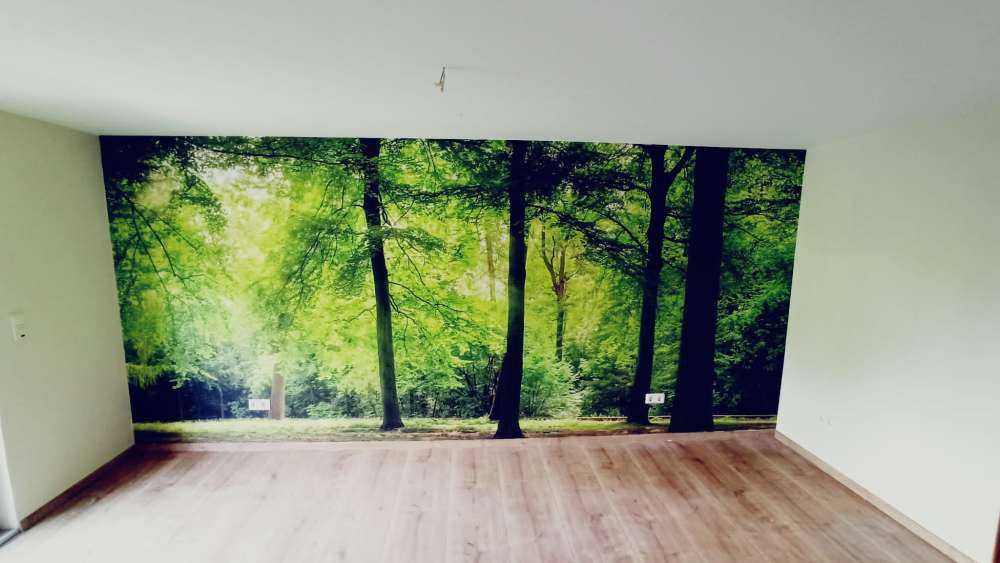 Bos met lichte nevel