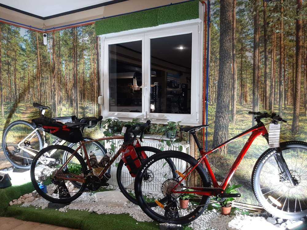 Wandelpad in dennenbos