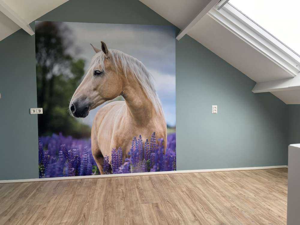 Paard tussen de Lupinus vlinderbloemen