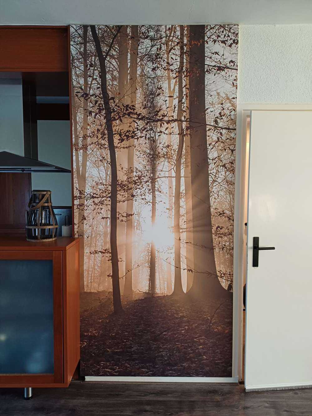 Zonnestralen in een mistig bos