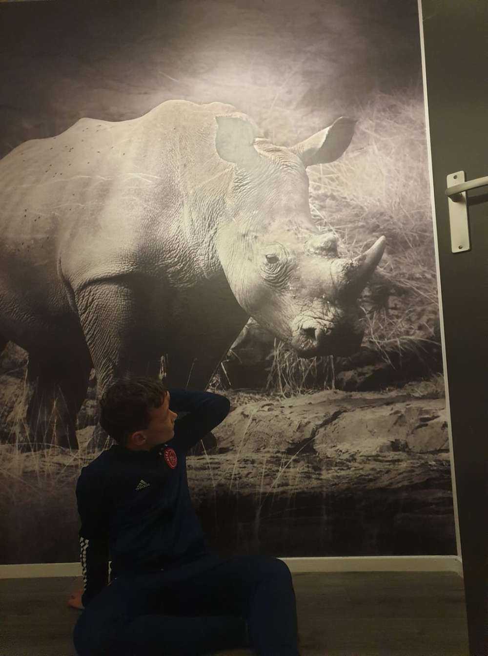 Neushoorn