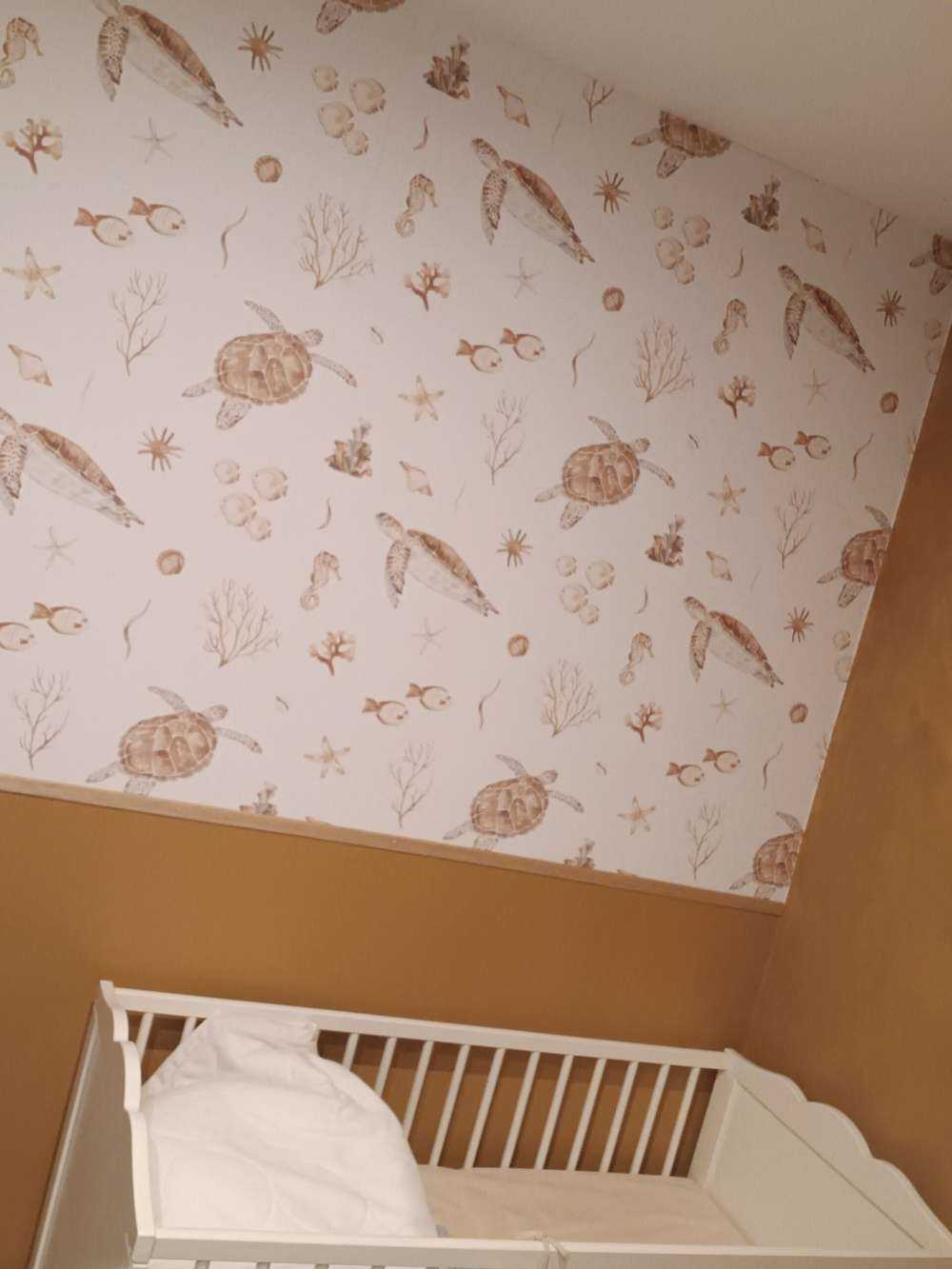 Schelpen en zeedieren