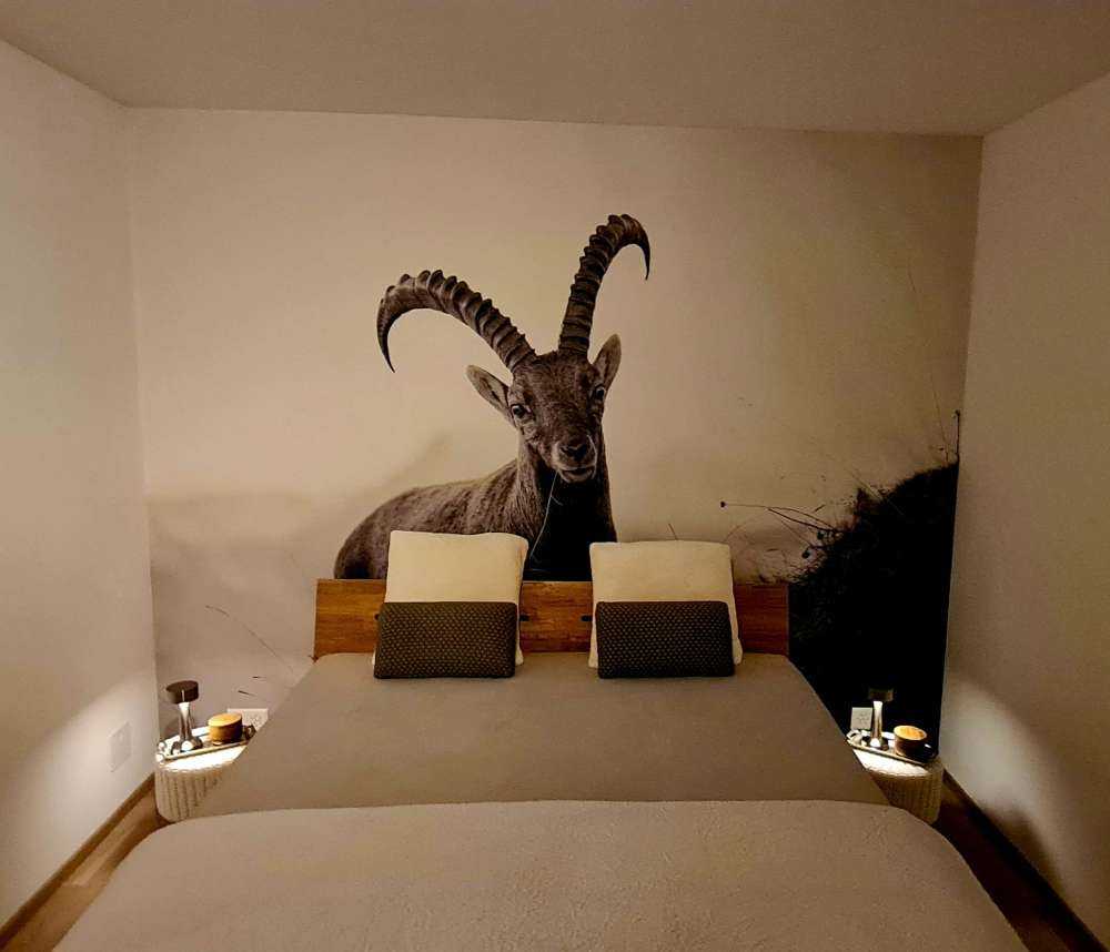 Steenbok in de bergen