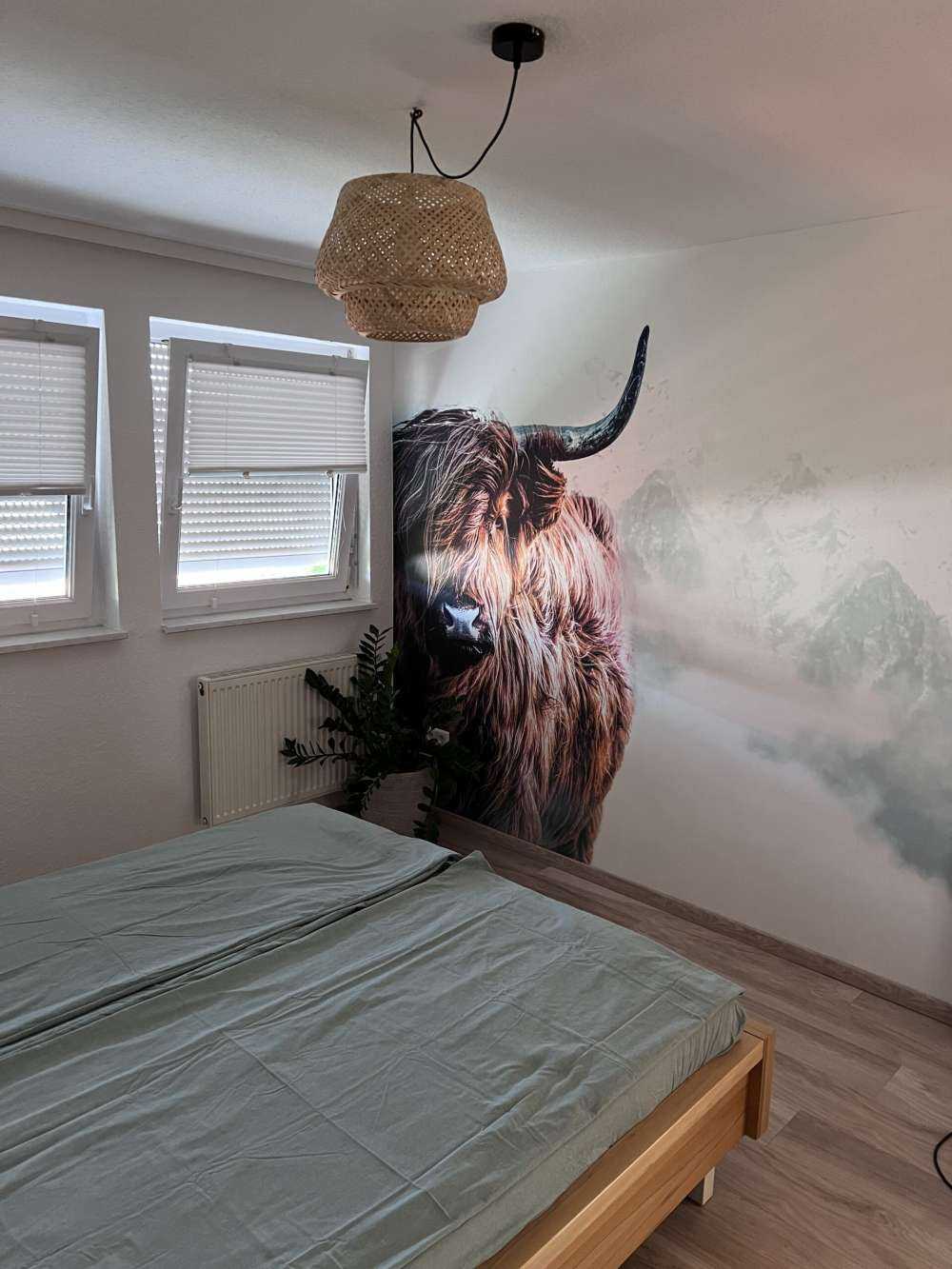 Scottish Highlander
