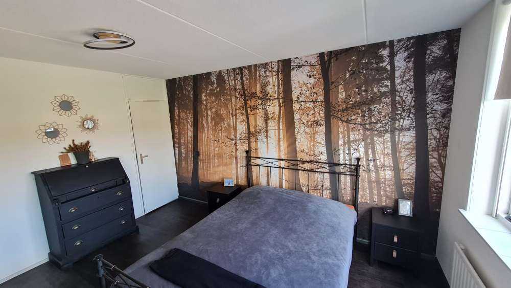 Zonnestralen in een mistig bos