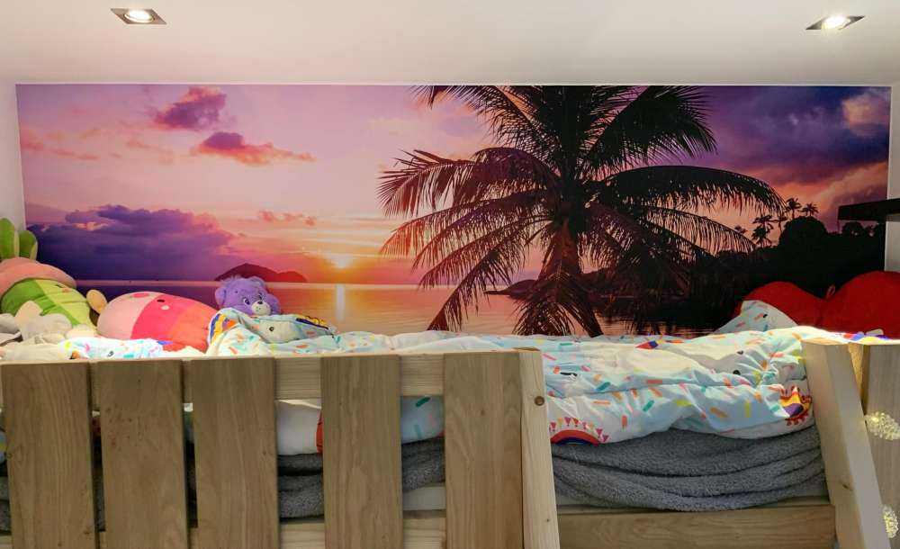 Palmboom bij een zonsondergang