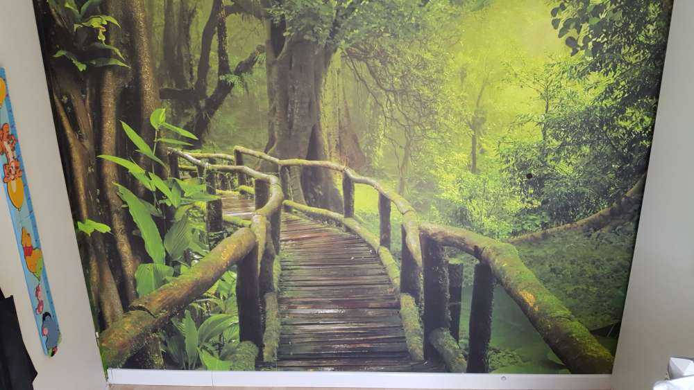 Houten brug door een groene jungle