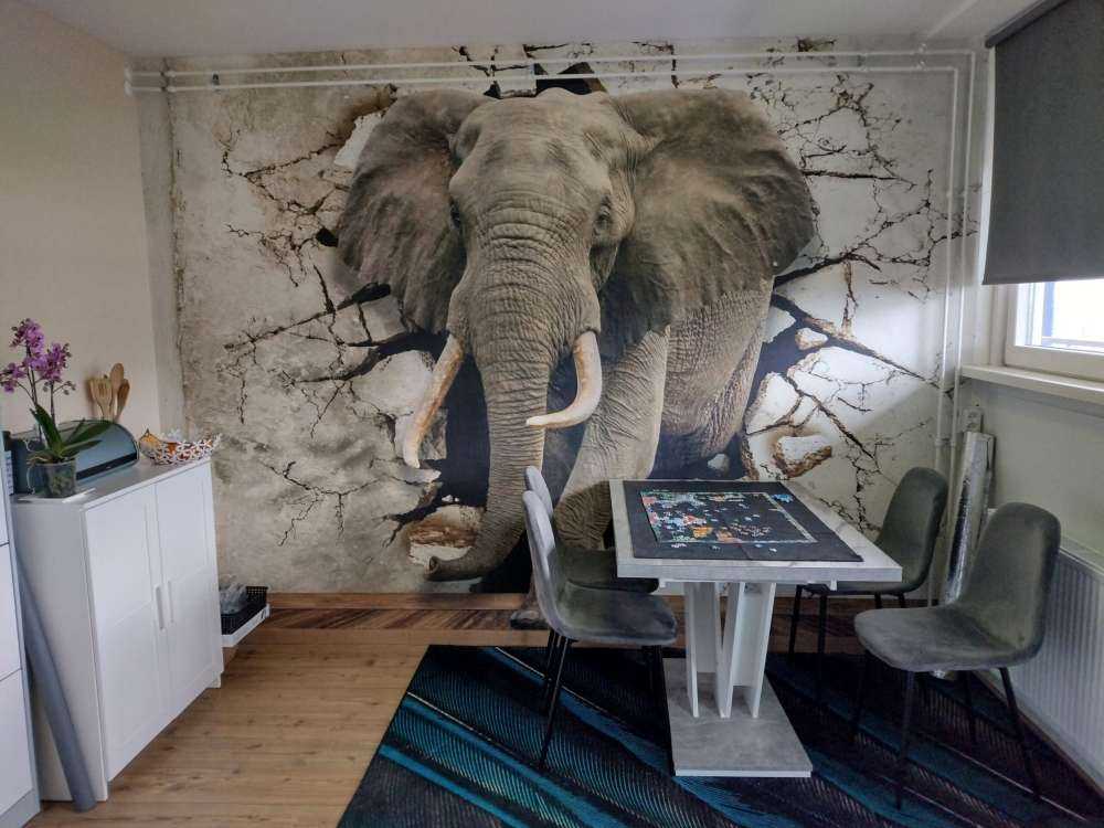 Grote olifant uit de muur