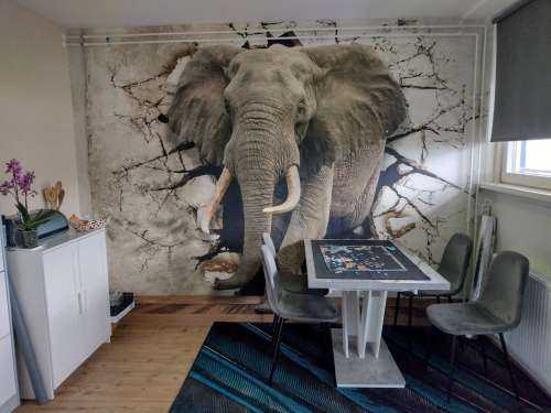 Grote olifant uit de muur