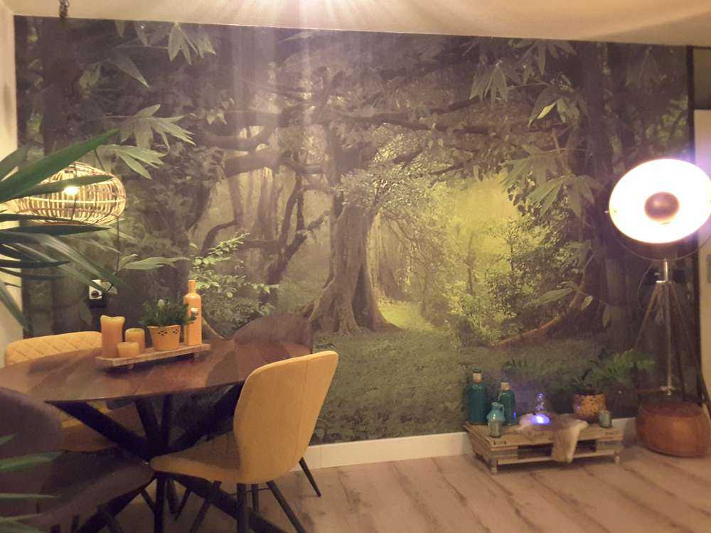 Tropische jungle