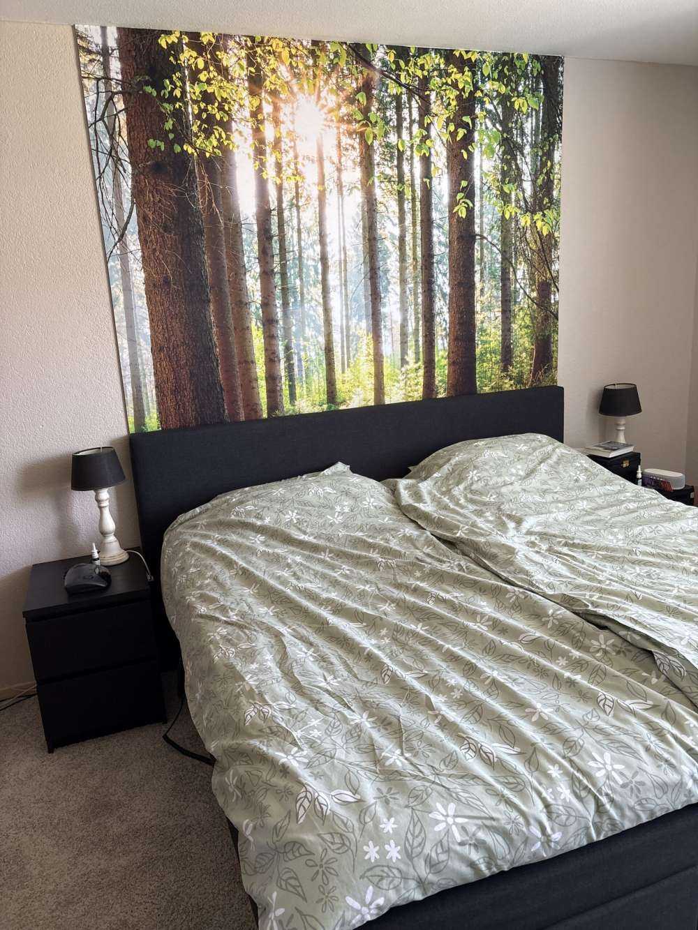 Zonsopkomst in het bos