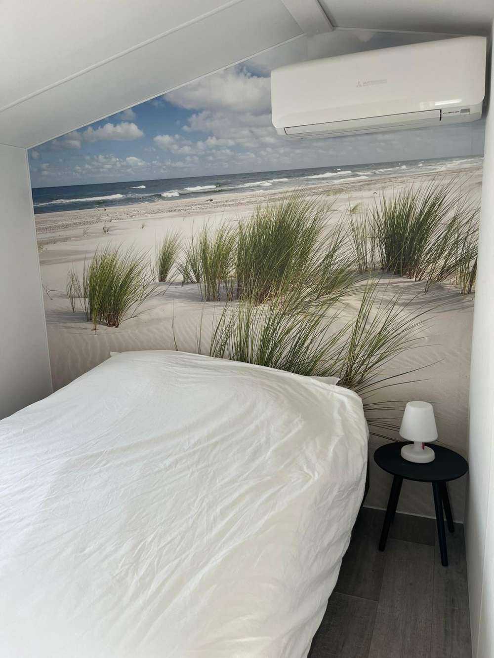 Strand met duinplanten