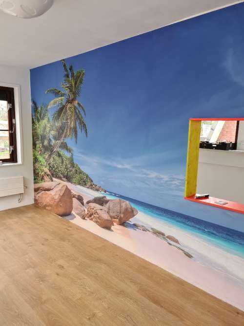 Palmboom