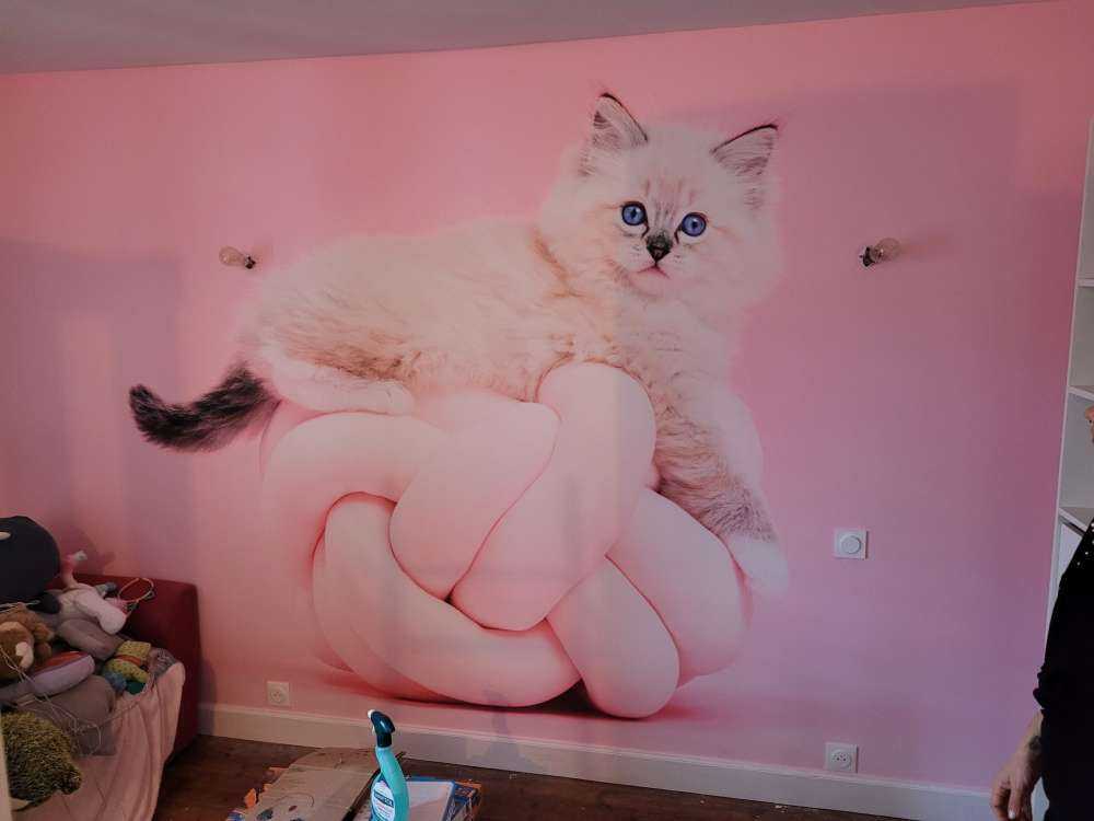 Witte poes op roze achtergrond