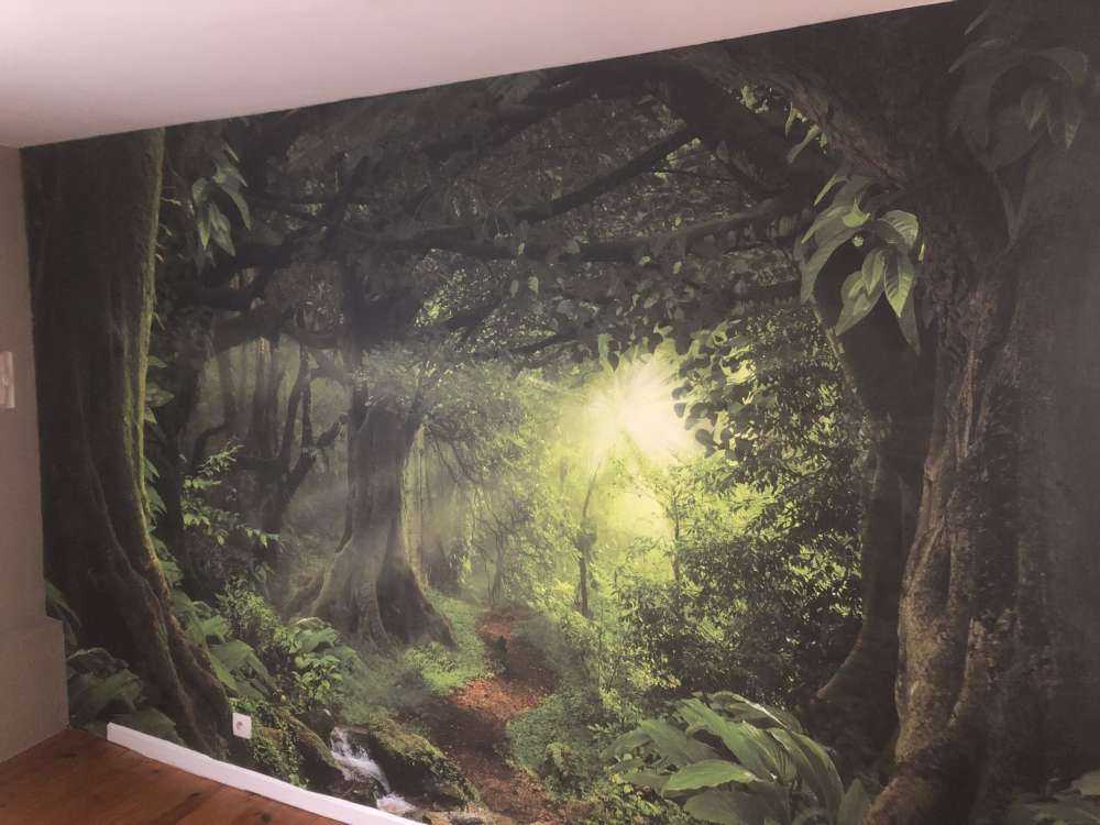 Tropische jungle met zonlicht