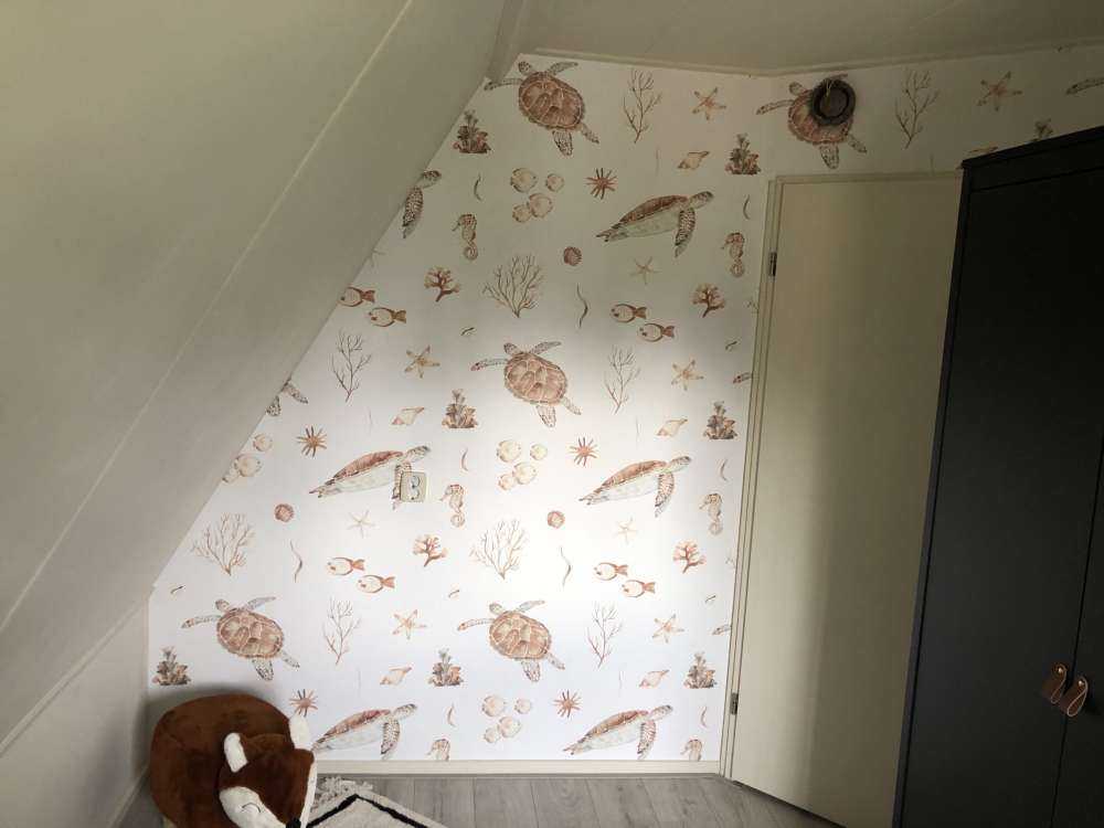 Schelpen en zeedieren