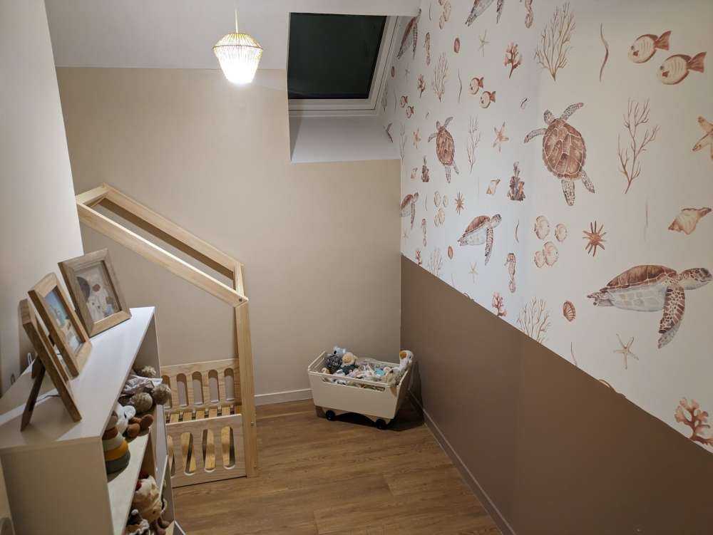 Schelpen en zeedieren