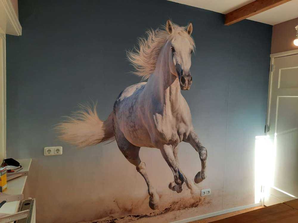 Galopperend paard