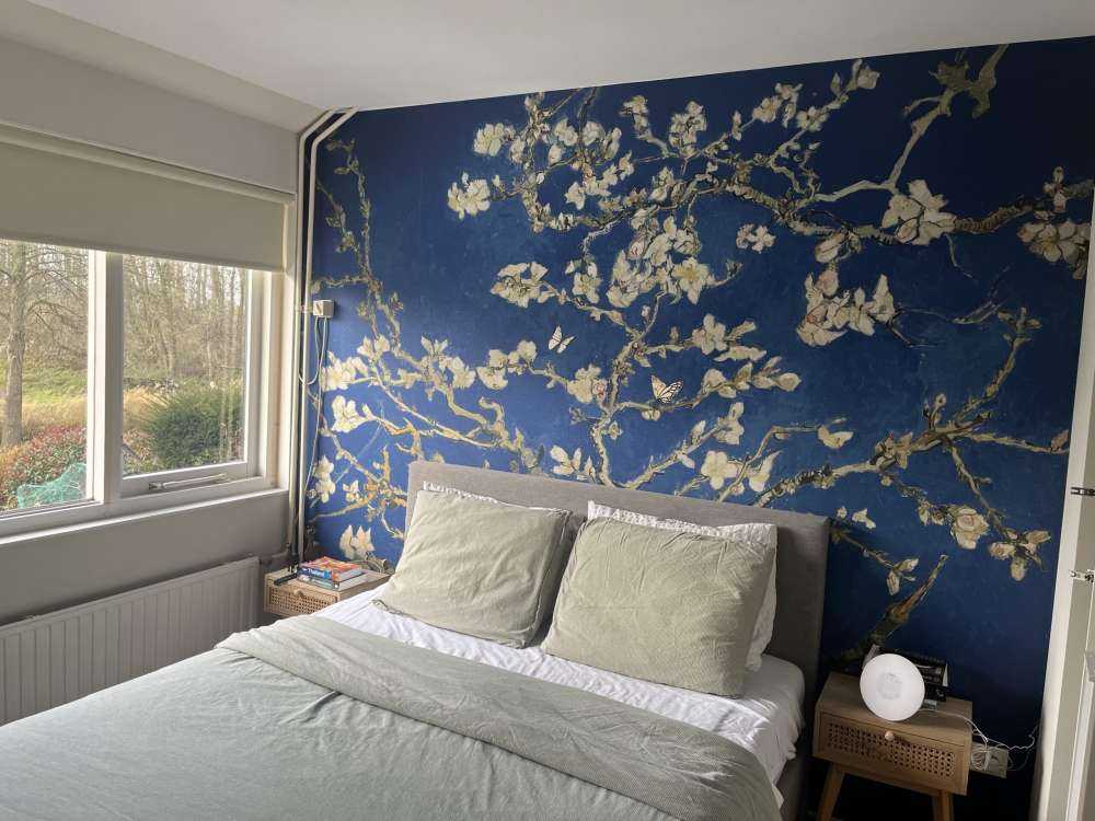 Amandelbloesem in de Nacht