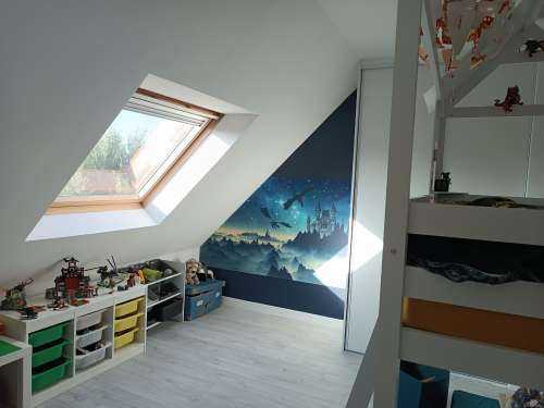 Vliegende draken