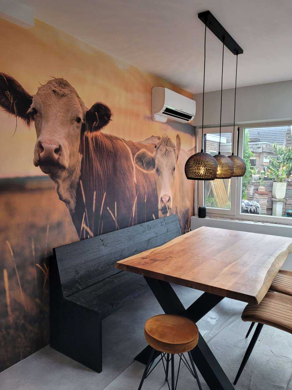 Koeien in de avondzon