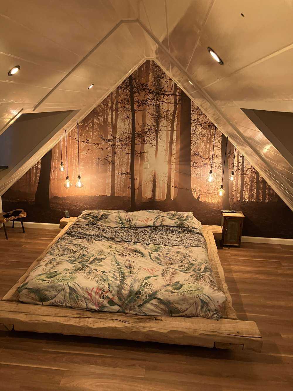 Zonnestralen in een mistig bos