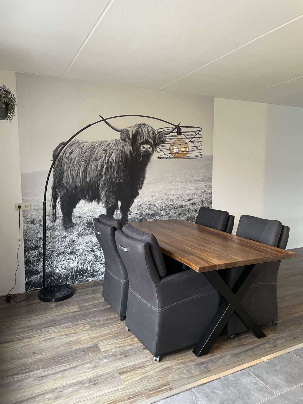 Schotse hooglander in het gras