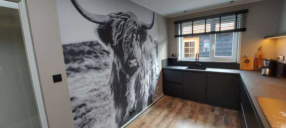 Schotse hooglander in zwart-wit