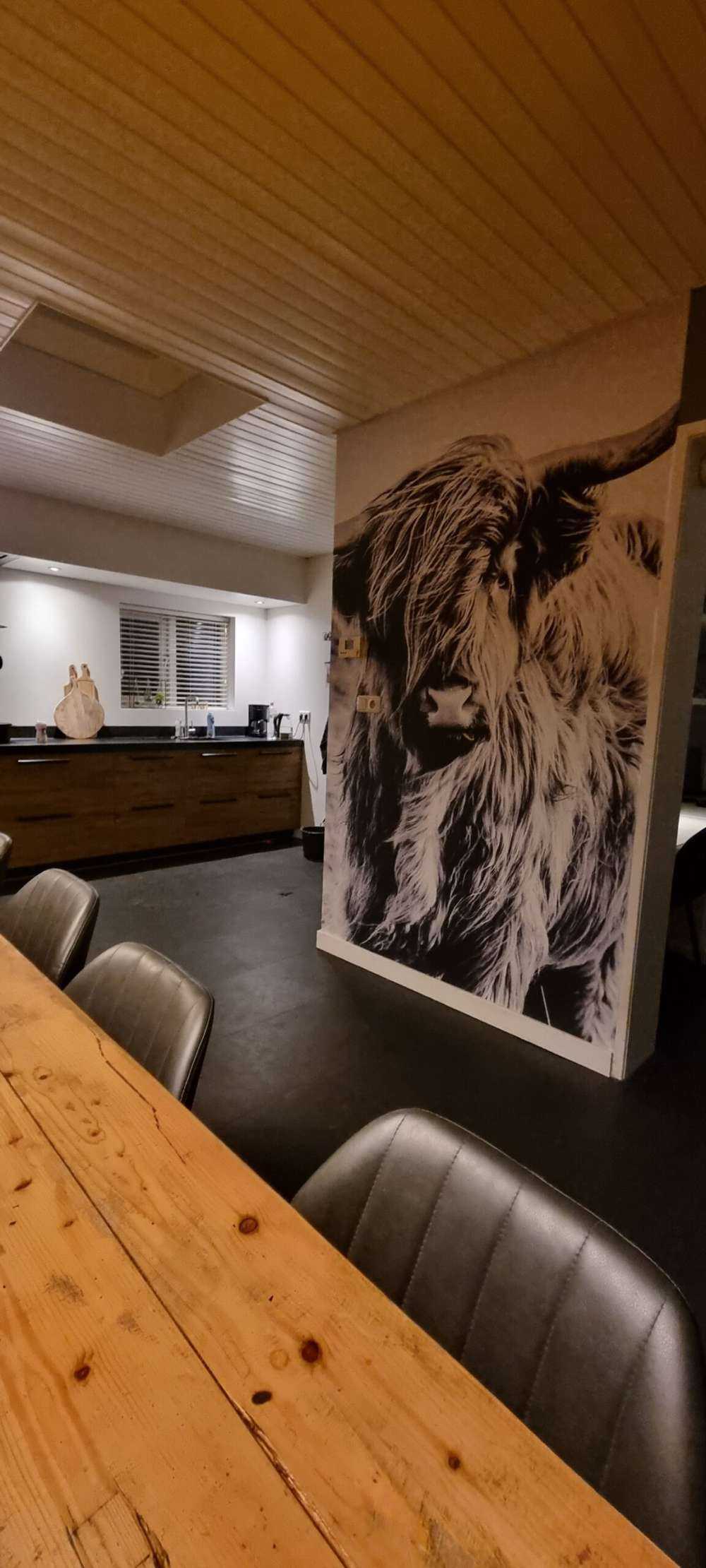 Schotse hooglander in zwart-wit