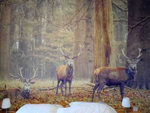 Wilde herten