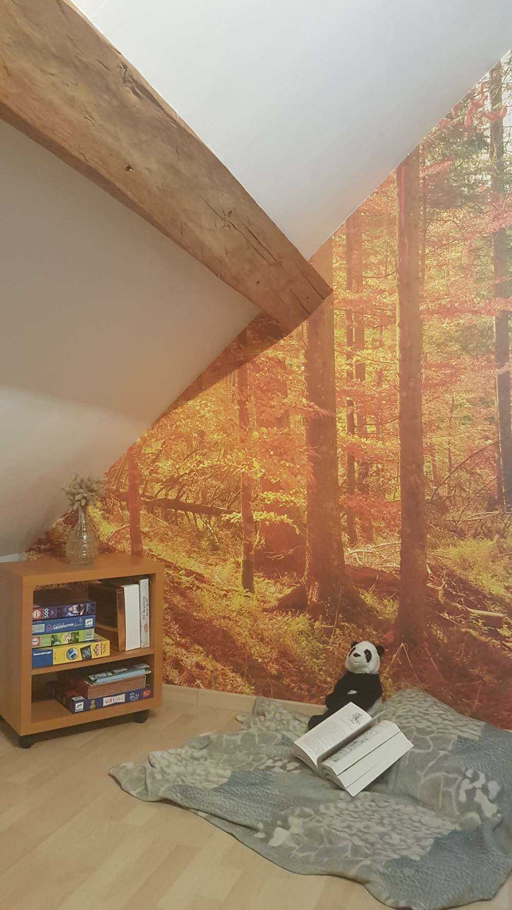 Herfstbos