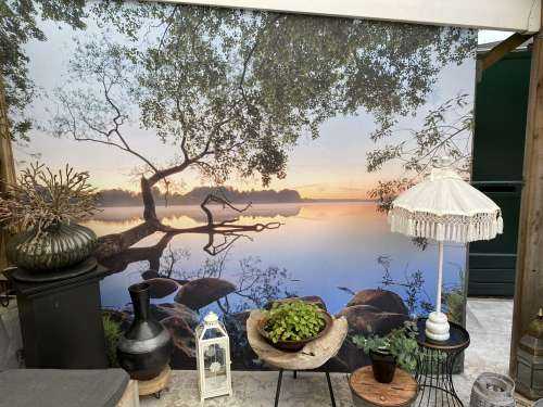 Lake view