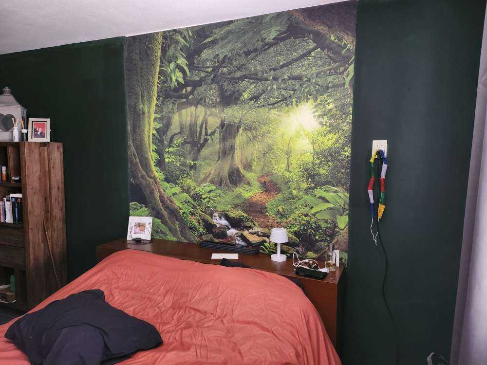 Tropische jungle met zonlicht