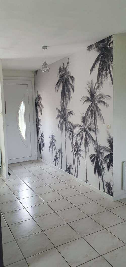 Palmbomen in zwart-wit