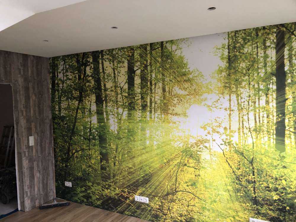 Zonnestralen in een groen bos