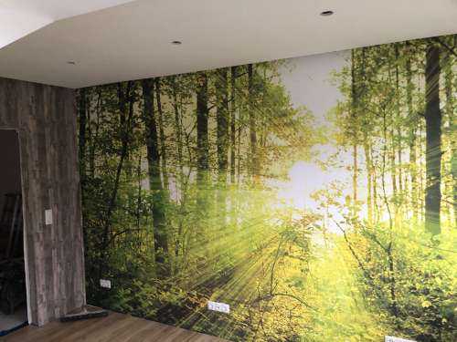 Zonnestralen in een groen bos