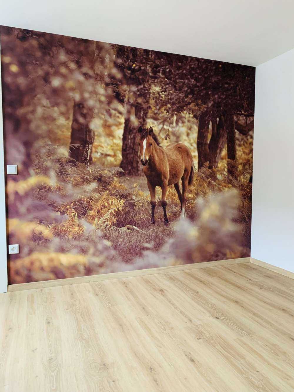 Paard in de wildernis