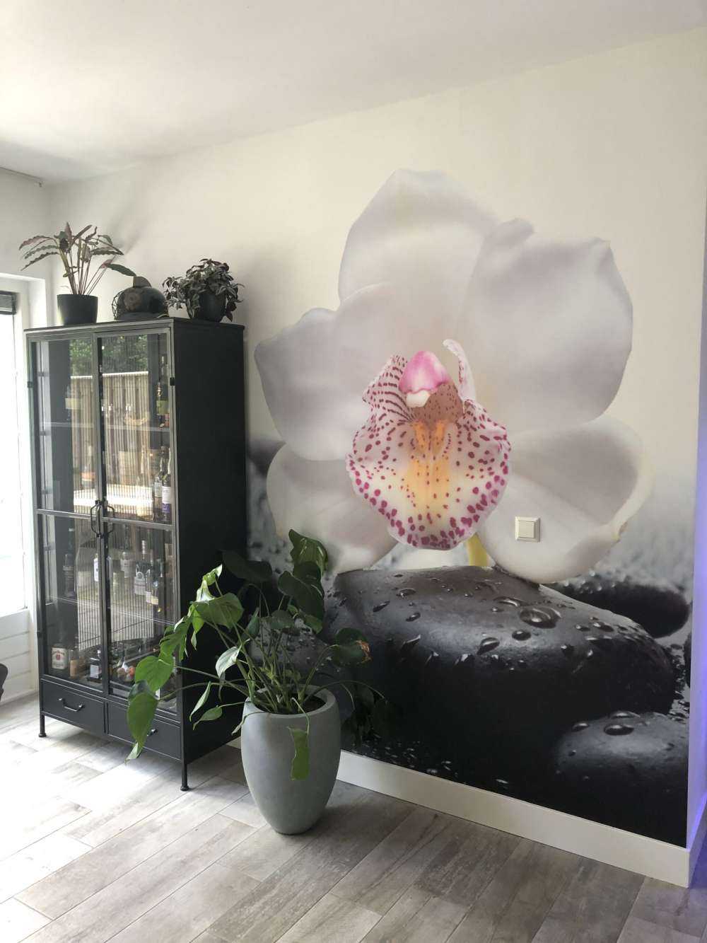 Witte orchidee