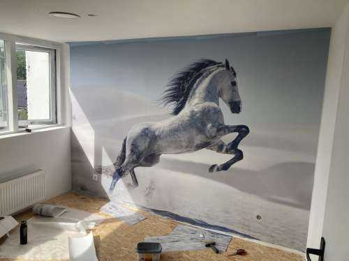 Steigerend paard