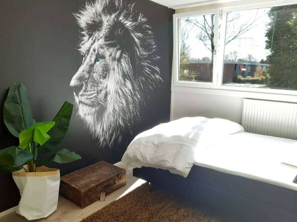 Leeuw met blauwe ogen