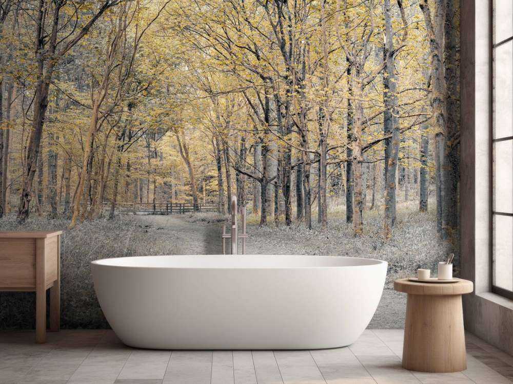 Bosweg tijdens de herfst