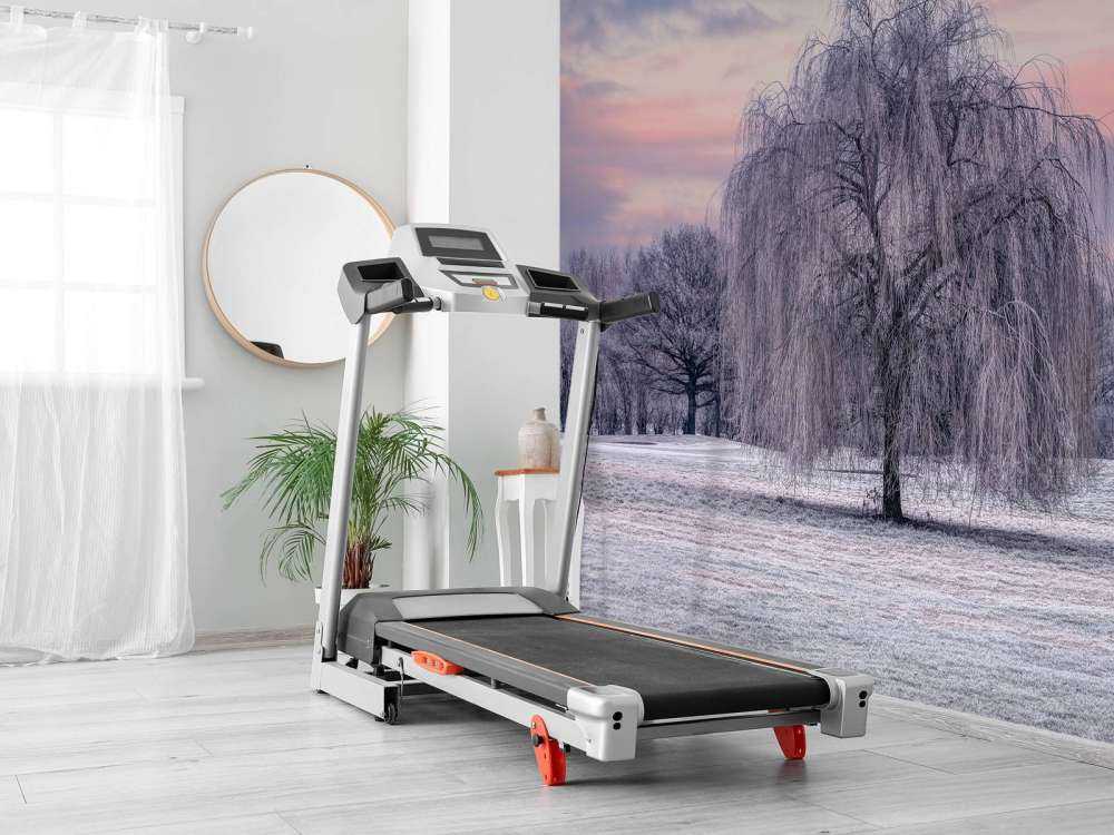 Boom bedekt met vorst