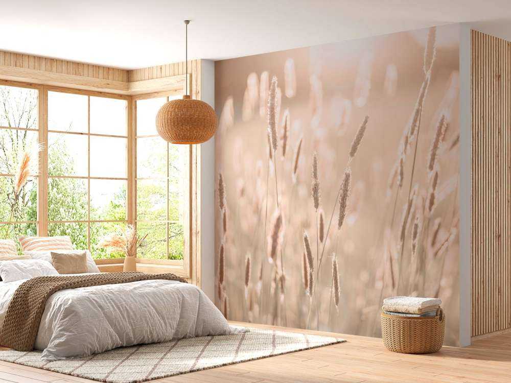 Zonlicht door weiland