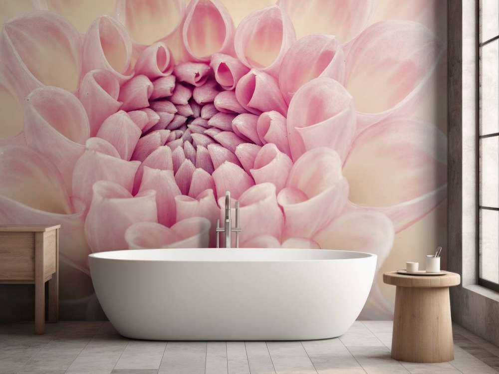 Dahlia close-up foto