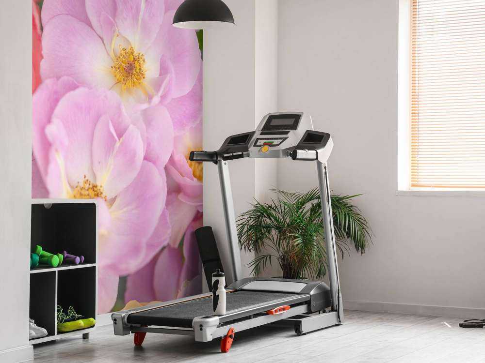 Kleurrijke bloemsoorten