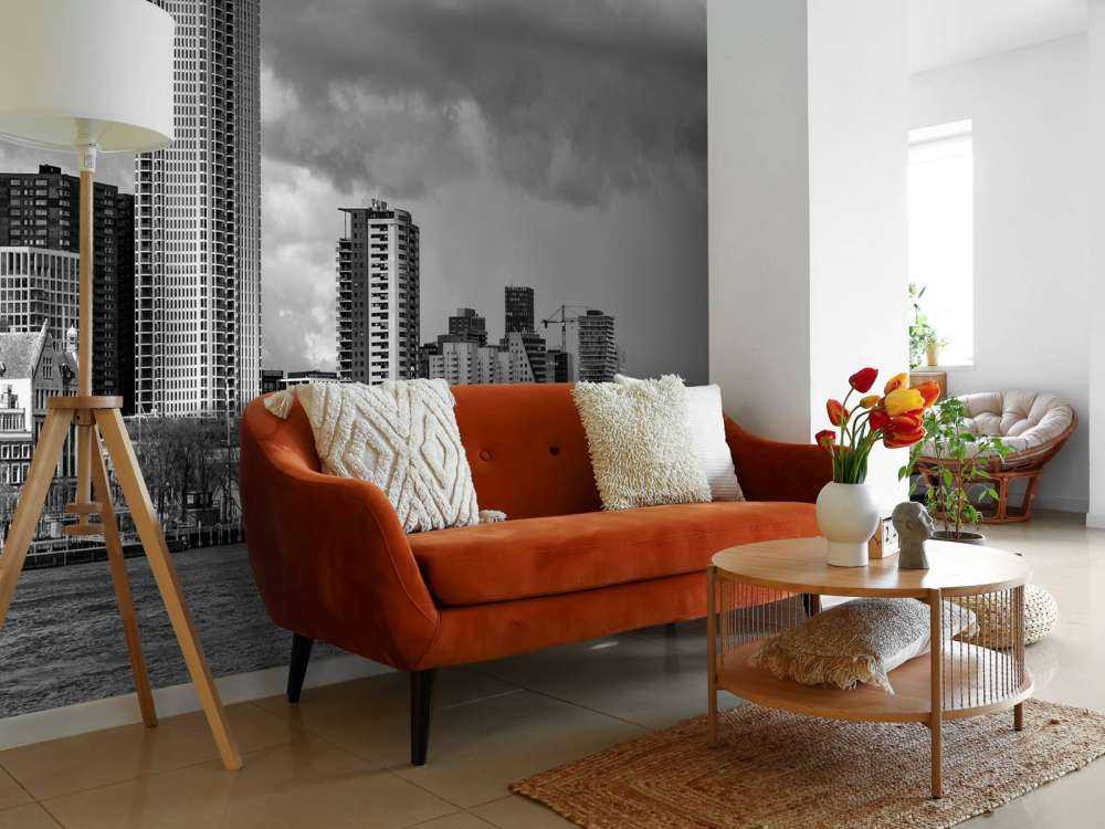 Skyline Rotterdam (Westerkade) vanaf Katendrecht (zwart wit) 