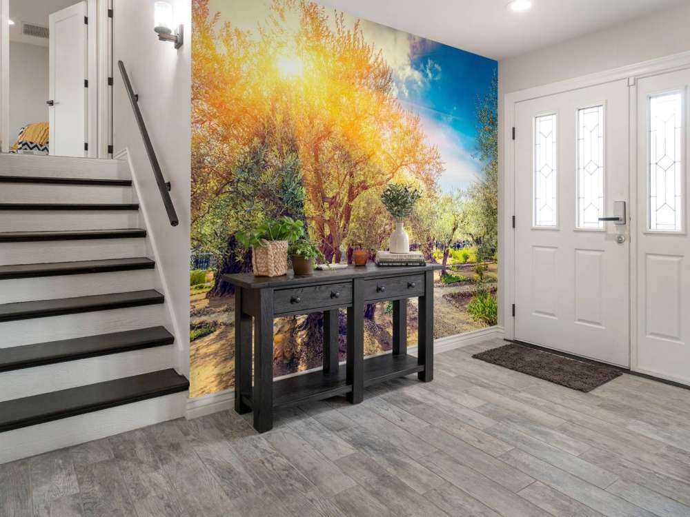 De Gethsemane olijven boomgaard bij zonsopkomst